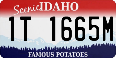 ID license plate 1T1665M