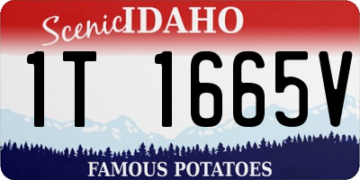 ID license plate 1T1665V