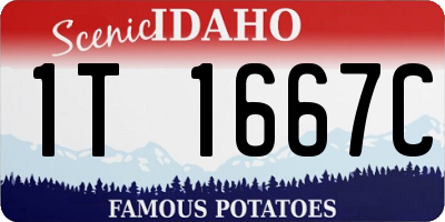 ID license plate 1T1667C