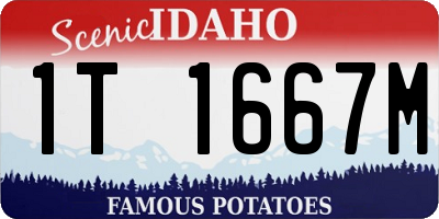 ID license plate 1T1667M