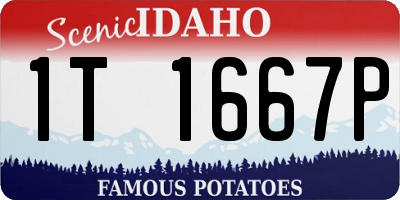 ID license plate 1T1667P