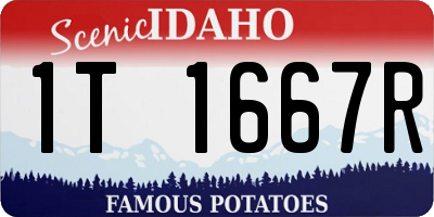 ID license plate 1T1667R