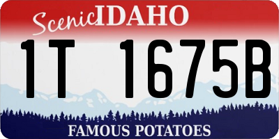 ID license plate 1T1675B