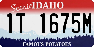 ID license plate 1T1675M