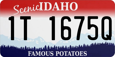 ID license plate 1T1675Q