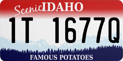 ID license plate 1T1677Q