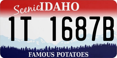 ID license plate 1T1687B