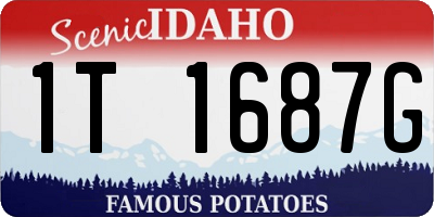 ID license plate 1T1687G