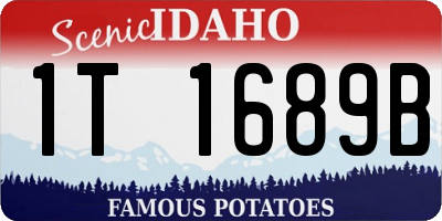 ID license plate 1T1689B