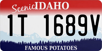 ID license plate 1T1689V