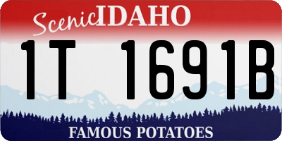 ID license plate 1T1691B