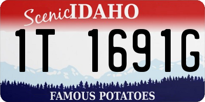 ID license plate 1T1691G