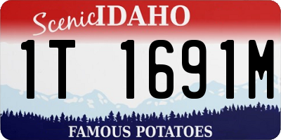 ID license plate 1T1691M