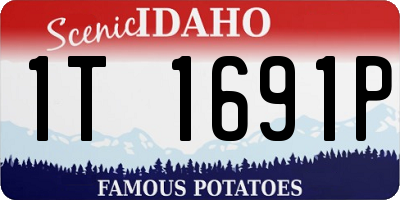 ID license plate 1T1691P