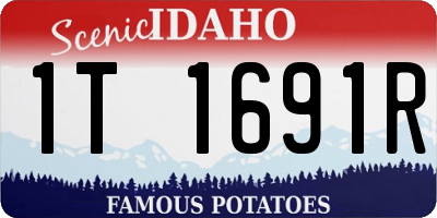 ID license plate 1T1691R