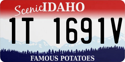 ID license plate 1T1691V