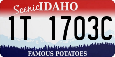 ID license plate 1T1703C