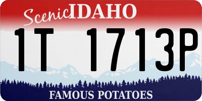 ID license plate 1T1713P