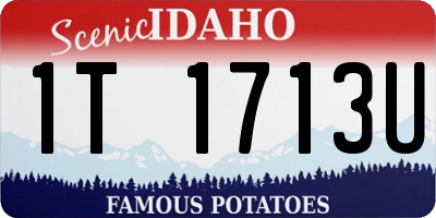 ID license plate 1T1713U