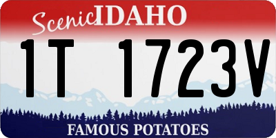 ID license plate 1T1723V