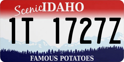 ID license plate 1T1727Z