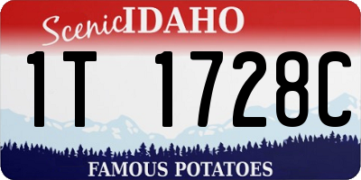 ID license plate 1T1728C