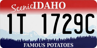 ID license plate 1T1729C