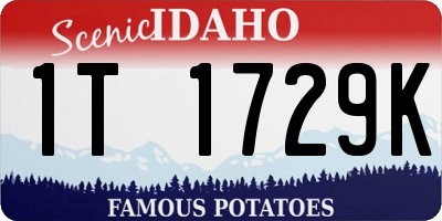 ID license plate 1T1729K
