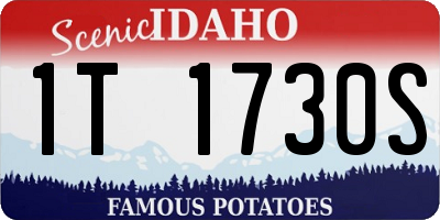 ID license plate 1T1730S
