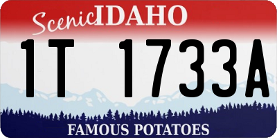 ID license plate 1T1733A