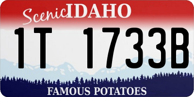 ID license plate 1T1733B