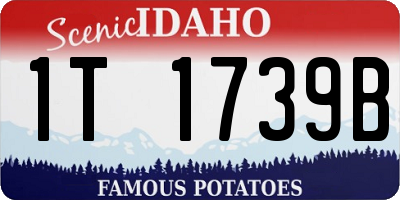 ID license plate 1T1739B