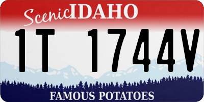 ID license plate 1T1744V