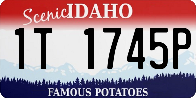 ID license plate 1T1745P