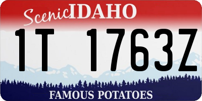 ID license plate 1T1763Z