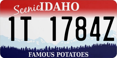 ID license plate 1T1784Z