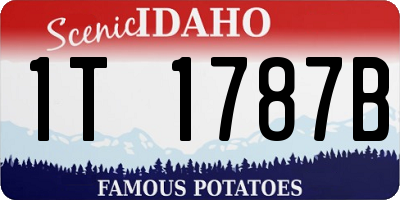 ID license plate 1T1787B