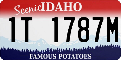 ID license plate 1T1787M