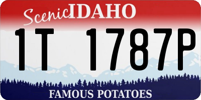 ID license plate 1T1787P
