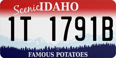 ID license plate 1T1791B