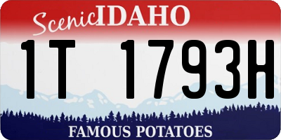 ID license plate 1T1793H