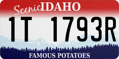 ID license plate 1T1793R
