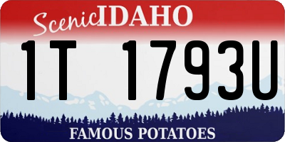 ID license plate 1T1793U