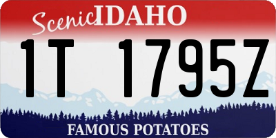 ID license plate 1T1795Z