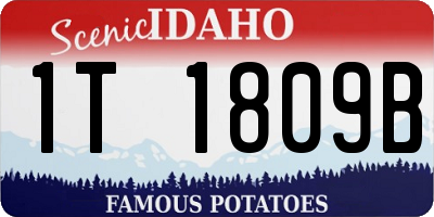 ID license plate 1T1809B