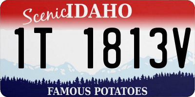 ID license plate 1T1813V