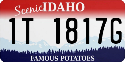 ID license plate 1T1817G