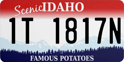ID license plate 1T1817N