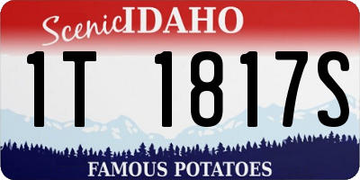 ID license plate 1T1817S