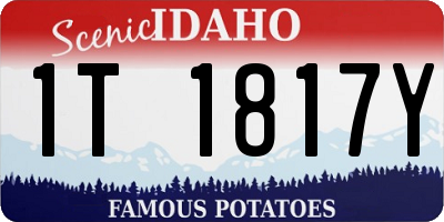 ID license plate 1T1817Y